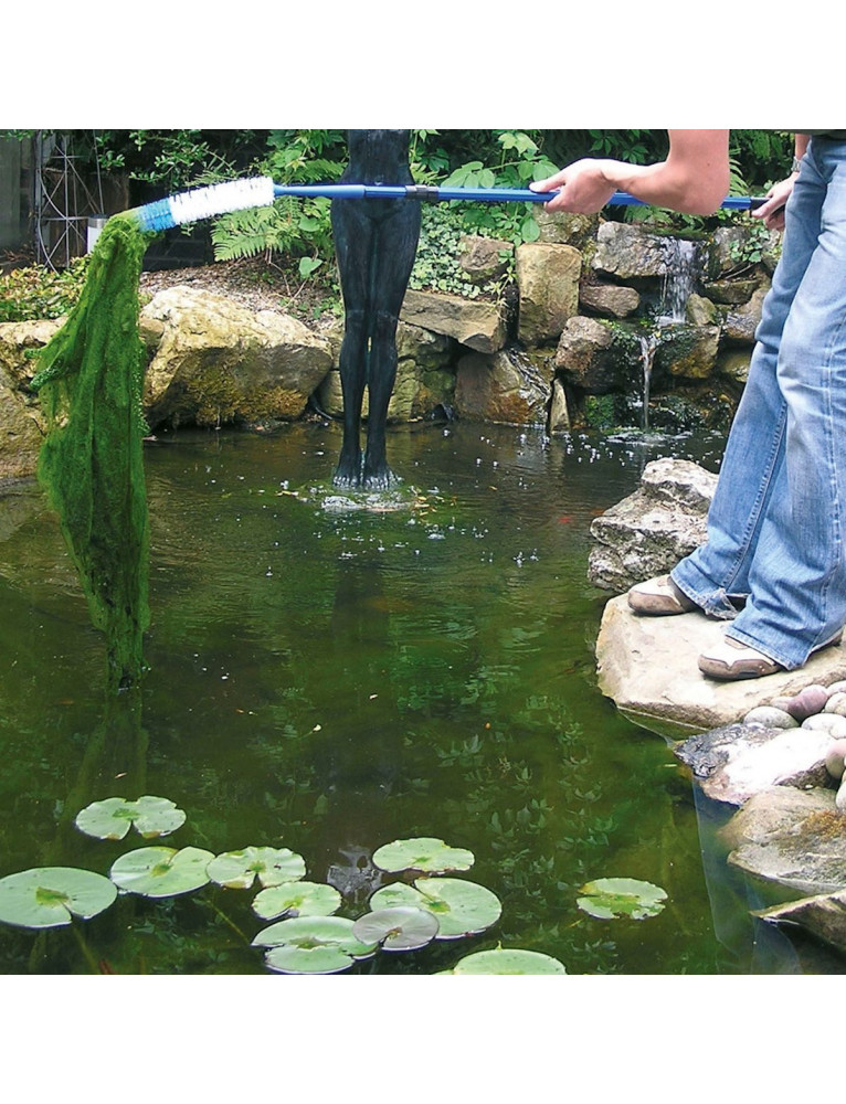 2KG Cloverleaf Blanket Answer Treatment