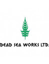 Dead Sea Works