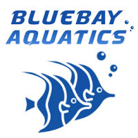 BlueBay Aquatics