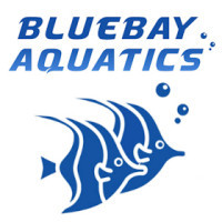 BlueBay Aquatics - Home